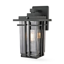 Outdoor Wall Light with Clear Smoked Glass and LED Bulb - Matte Black
